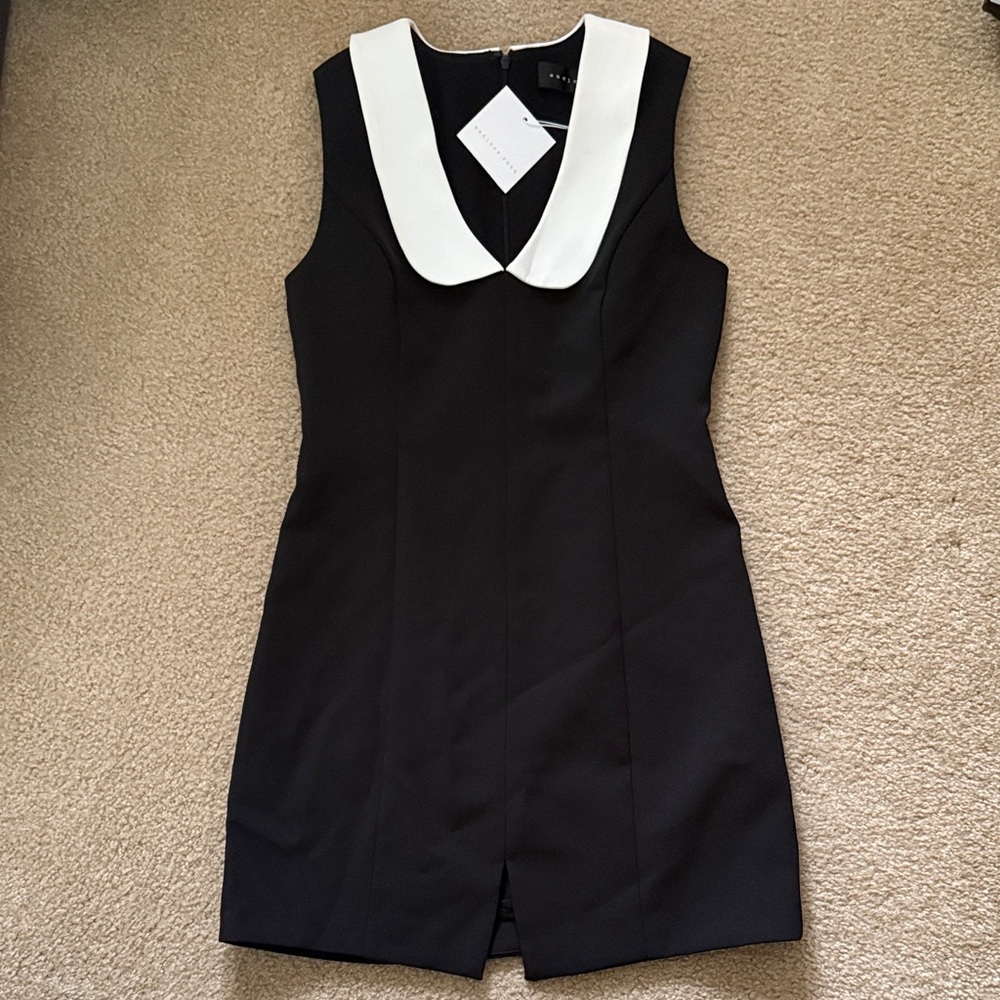 Endless Rose Black Mini Dress with White Collar